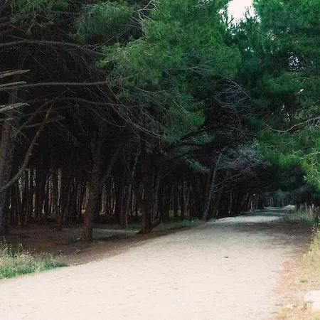 Morina Ξενοδοχείο